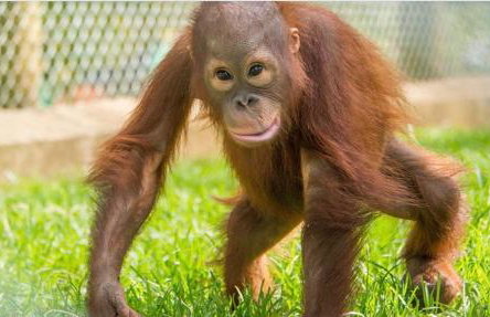 Poppy at Oakdene Forest Park - Foto 59