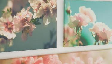 Casa Blanca - Foto 5