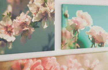 Casa Blanca - Foto 5