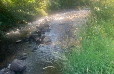 Gîte de la Couze pavin - Photo 32