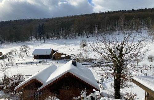 Ferienhaus Buren-Hof - Foto 43
