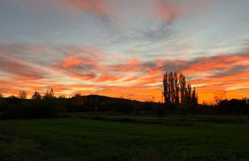 El Rincón de Willy - Foto 20