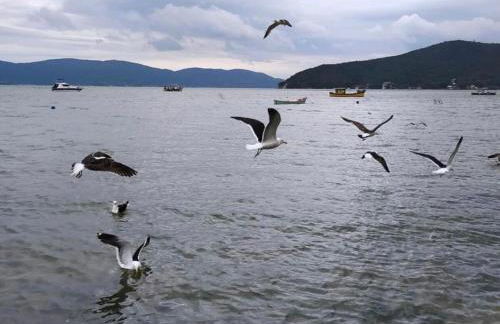 Rencanto Azul - Foto 13