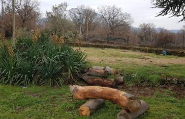 Etna, salvia e rosmarino - Foto 53