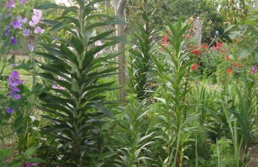 Casa Villar Mayor - Foto 37