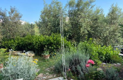 Villa Antonella - Foto 16