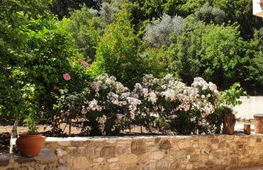 Chaihoutes stone House and Villa into Olive farm in Zia - Photo 68