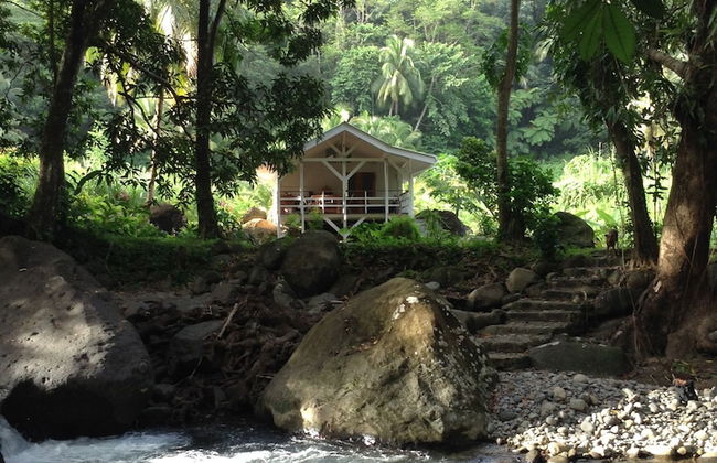 Citrus Creek Plantation - Photo 23