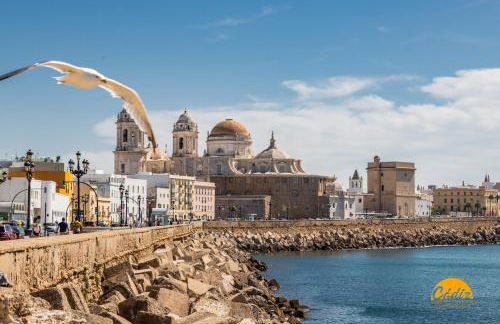 Bajo el Falla by Cadiz Time - Photo 28