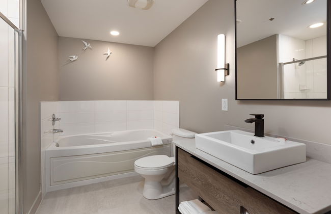 Sommet des Neiges - Foto 26