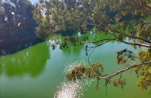 FINCA RIODIEL - Foto 71