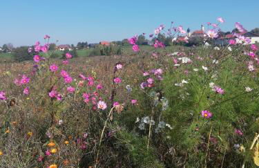 Haus Rosenbusch - Foto 21