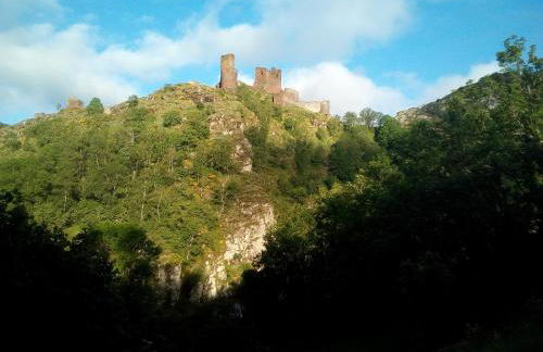 Gite au pied du mont Lozère 2 - Foto 9