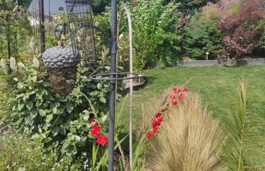 La Petite Goulette - Foto 4