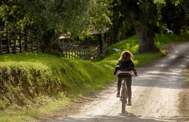 Az Agrituristica Bio Le Macchie Alte - Photo 26