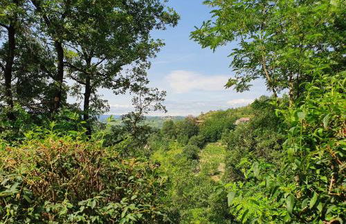 Agriturismo Il Burlino Apartments - Foto 61