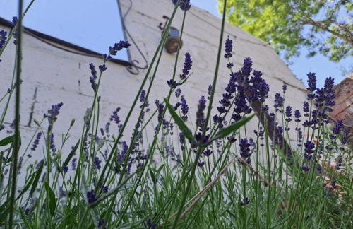 La petite Maison a charming, peaceful cottage in the Countryside - Foto 40
