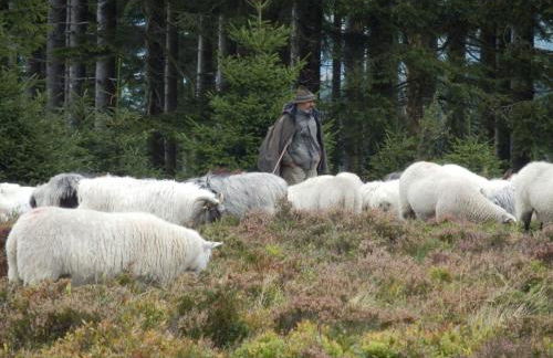 Apartment mit privatem Balkon by Interhome - Photo 16