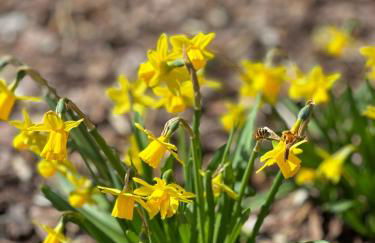Ferienwohnung Schömberg - Foto 5