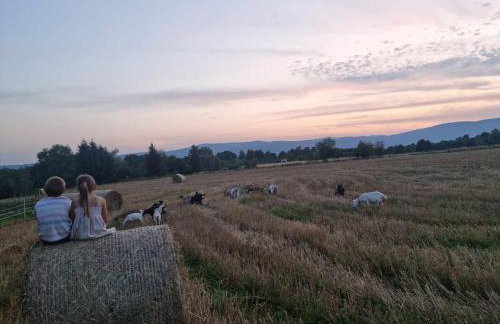 BAJKA-Domek na wsi - Foto 36