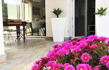 I due carrubi - Foto 1