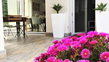 I due carrubi - Foto 1