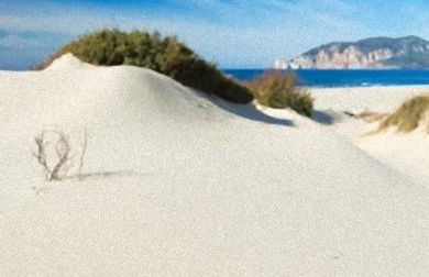 Appartamento La Collinetta - Foto 27