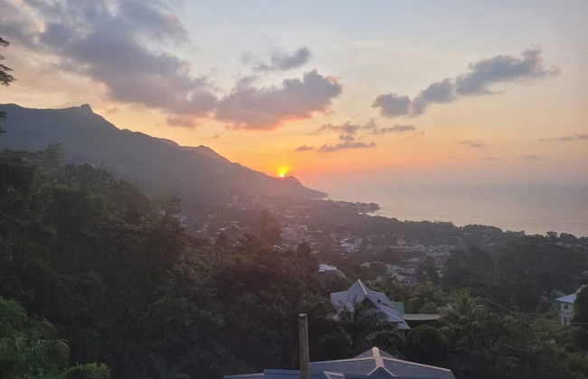 Wild Vanilla Apartment - Photo 45