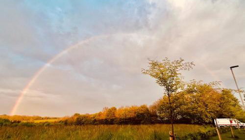 The Pink House - Foto 4