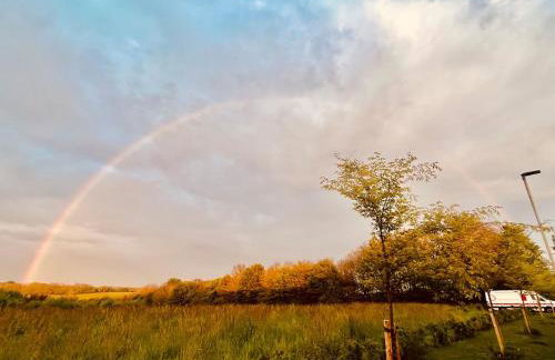 The Pink House - Foto 4