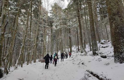 Il Vico holiday home - Foto 24