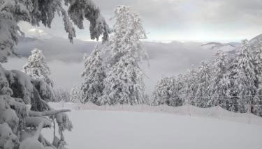 Superbe Studio Ambiance Chalet - Photo 4