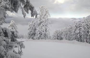 Superbe Studio Ambiance Chalet - Foto 4