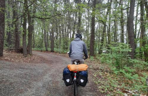 Chalet nature et détente avec piscine, proche zoo de la Flèche et Le Mans, idéal cyclistes et familles - FR-1-410-367 - Photo 8
