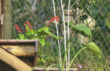 Alto da Villa - Photo 6