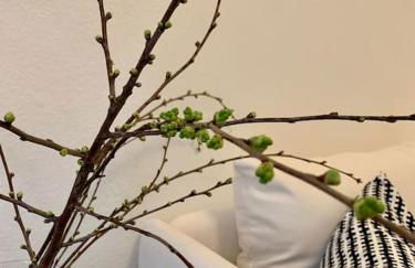 Stilvoll wohnen am St. Johanner Markt - Foto 16