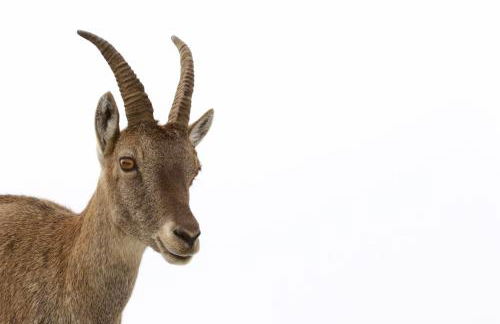 Cave Trieste Apartments - CaTs Apartments - Photo 38