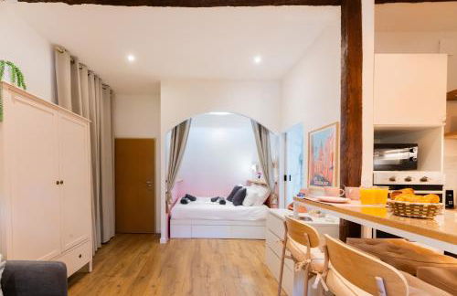 Studio Toulouse Capitole La Voute Rose - Photo 12