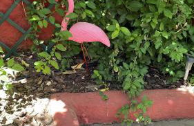 Casa Lares - Foto 49