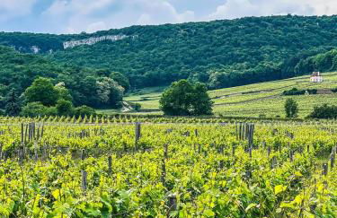 Escapade Chambertine au cœur de Gevrey-Chambertin - Foto 19