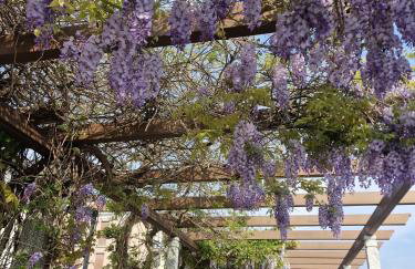 Perla sul Lago - LuxuryApartment - Arona centre - Foto 33