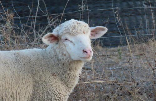 Monte Além Tejo - Foto 51