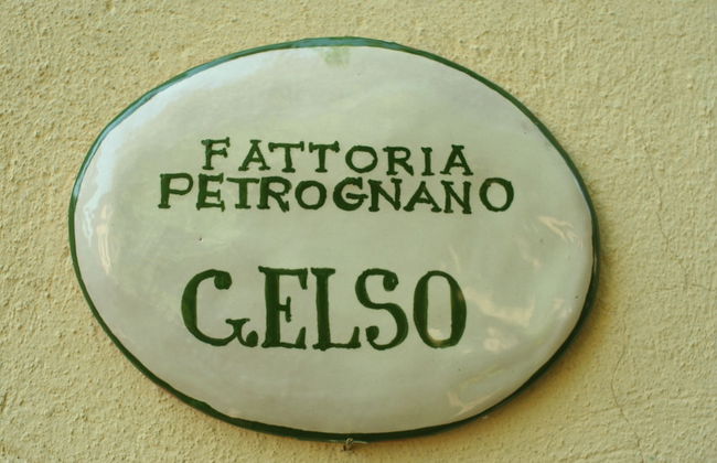 Fattoria Gambaro di Petrognano - Foto 59
