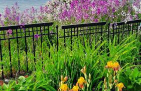 Bayview #1 - Foto 36