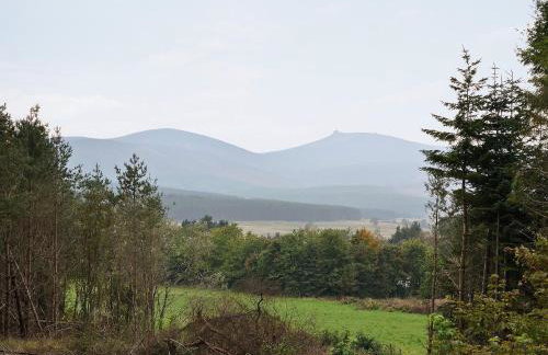 Cairn View - Foto 10