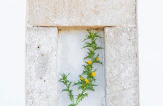 Ilias Cottage - Foto 8