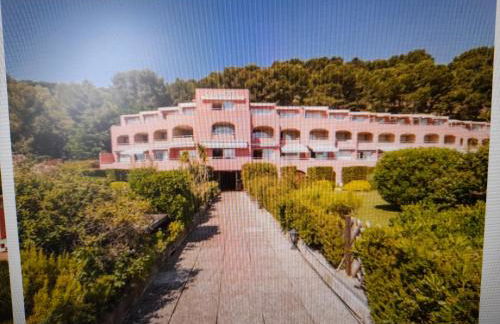 Résidence Pierre et Vacances Les Jardins de la Côte d'Azur SAINT MANDRIER - Photo 11