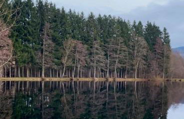 Maison Maneki Chalet Évasion 8 personnes en bord de lac - Foto 11