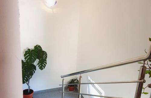 Apartman Lukić - Foto 33