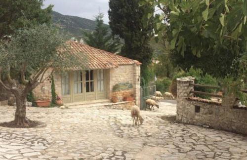 Elaion Guesthouse - Foto 37